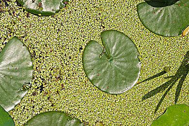 《逸剑风云决》国区售价78元 9月15日解锁