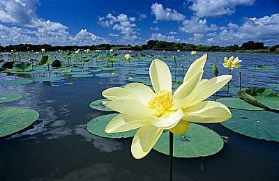 《赛博朋克2077》总监：从RED过渡到虚幻5不会从零开始